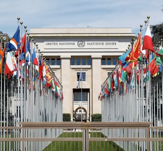 будівля оон, організація об'єднаних націй