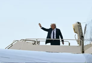 Трамп хвалить «гарну зустріч» із Зеленським