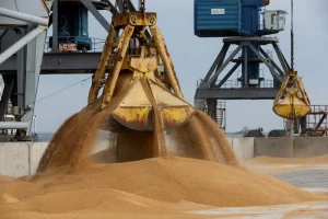 завантаження зерна ковшем у морському порті