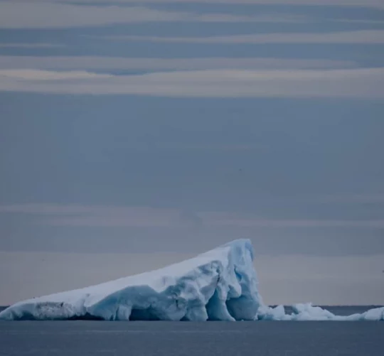 таяння льоду у акртиці