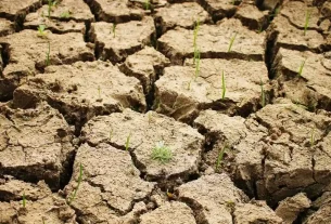 Літо 2025 року коштувало Європі 43 мільярди євро