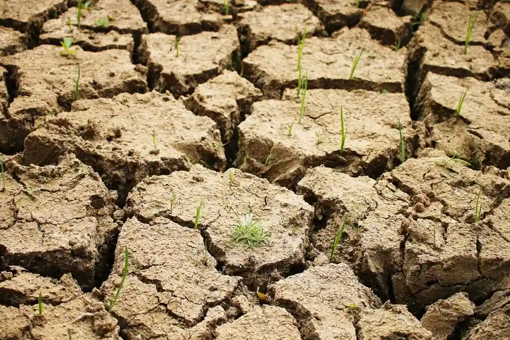 Літо 2025 року коштувало Європі 43 мільярди євро