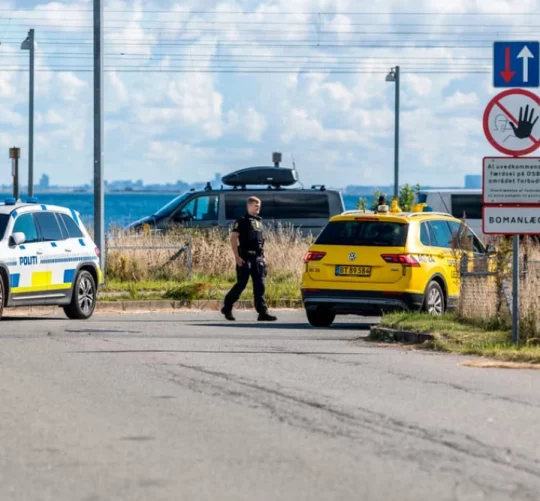 Британія надасть Данії анті дроні системи