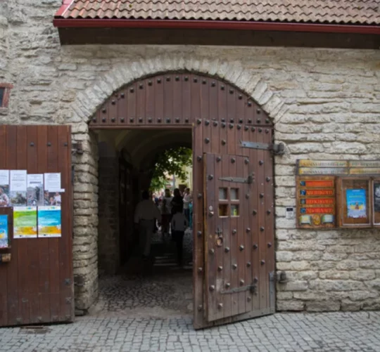 Естонський суд зобов'язав криптотрейдера виплатити українській НУО 30-кратну суму російської пожертви