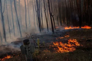 Руйнування довкілля: війна в Україні підживлює кліматичну кризу - 237 мільйонів тонн CO2