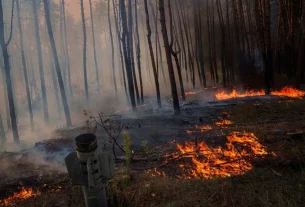 Руйнування довкілля: війна в Україні підживлює кліматичну кризу - 237 мільйонів тонн CO2
