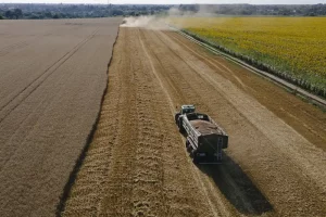 Європейська комісія погрожує Польщі процедурою за блокування українського зерна