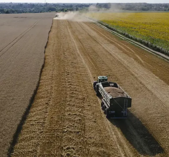 Європейська комісія погрожує Польщі процедурою за блокування українського зерна