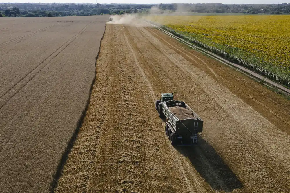 Європейська комісія погрожує Польщі процедурою за блокування українського зерна