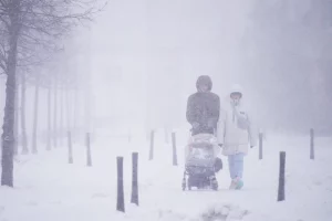 Народжуваність у Польщі падає, це не подолати державними грошима