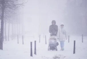 Народжуваність у Польщі падає, це не подолати державними грошима