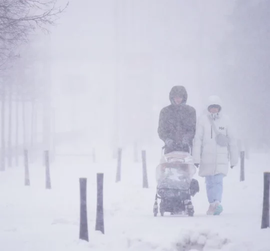 Народжуваність у Польщі падає, це не подолати державними грошима