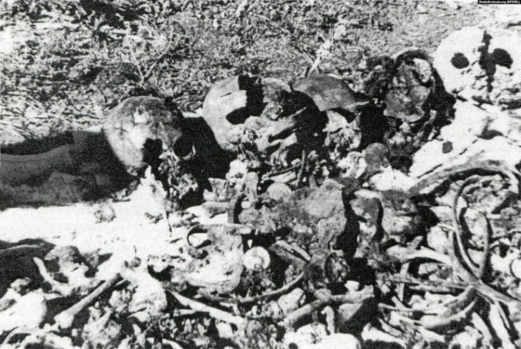 Перші знахідки в урочищі