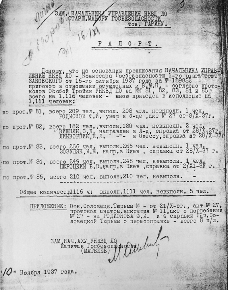 Рапорт Міхаіла Матвєєва