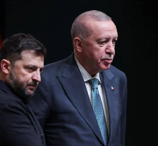 Зеленський та Ердоган разом на фото