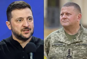 залужний та зеленський