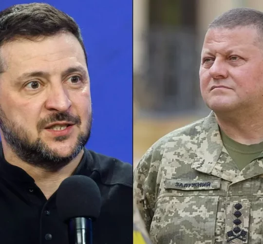 залужний та зеленський