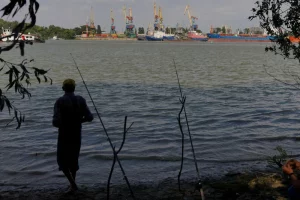 річка Дунай вид на річний порт та рибалка