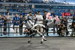 роботи зі штучним інтелектом б'ються на ринзі