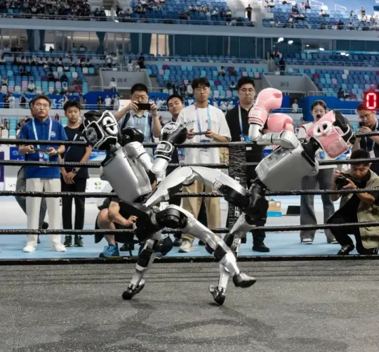 роботи зі штучним інтелектом б'ються на ринзі