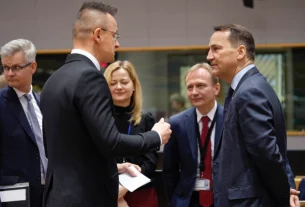 Міністр закордонних справ Польщі Радослав Сікорський та міністр закордонних справ Угорщини Петер Сійярто