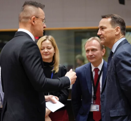 Міністр закордонних справ Польщі Радослав Сікорський та міністр закордонних справ Угорщини Петер Сійярто