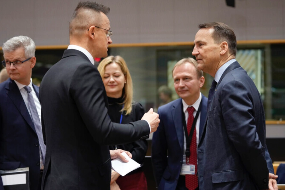 Міністр закордонних справ Польщі Радослав Сікорський та міністр закордонних справ Угорщини Петер Сійярто