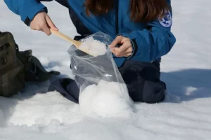 збір арктичного снігу для досліджень