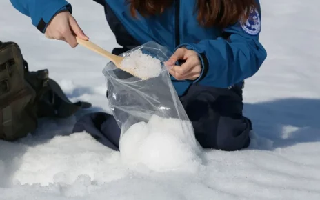 збір арктичного снігу для досліджень