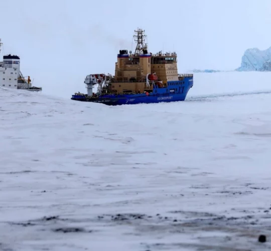 Поблизу порту на острові Олександрівська земля біля Нагурського, Росія, травень 2021 року.