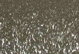 скільки ще повинно загинути людей у цій безглуздій війні