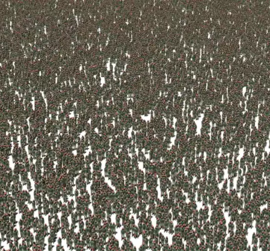 скільки ще повинно загинути людей у цій безглуздій війні