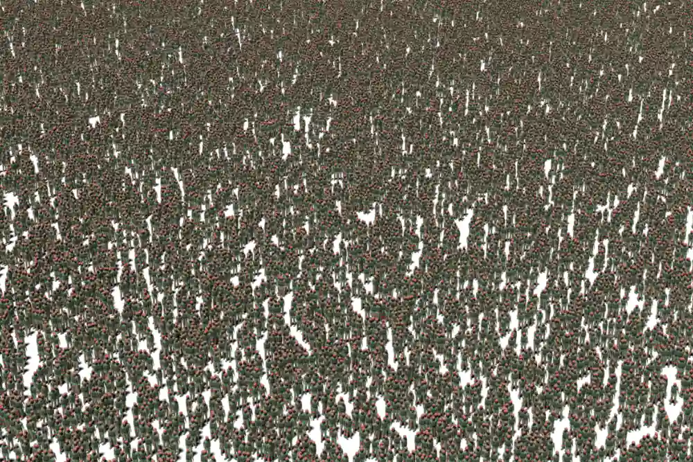 скільки ще повинно загинути людей у цій безглуздій війні