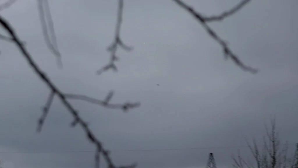 Вони чують дрон, перш ніж бачать його крізь голі гілки дерев