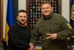 зеленський та залужний тиснуть друг другу руки