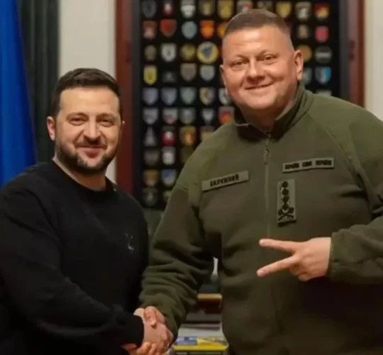 зеленський та залужний тиснуть друг другу руки