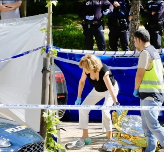 вбивство Андрія Портнова у Мадриді