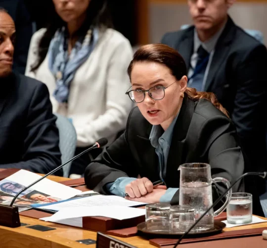 прем'єр-міністр України - Юлія Свириденко