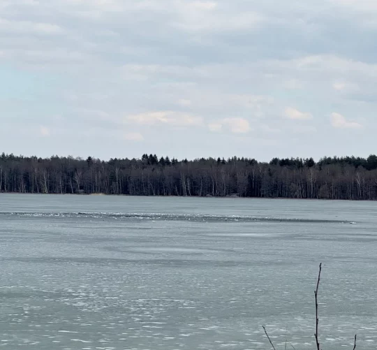 Уражені уламки дрону розкидані по вкритому льодом озеру в Лавішасі (Литва), куди, за даними литовської армії, впав підозрілий безпілотник після вторгнення в повітряний простір країни, 23 березня 2026 року