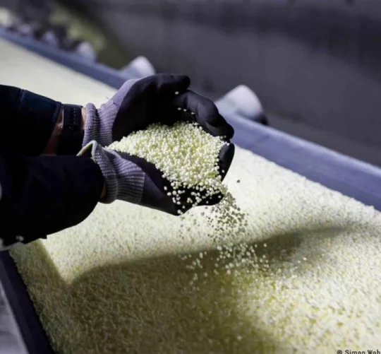 глобально продовольча криза може загостритися