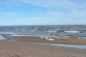 Крило безпілотника, яке, як вважається, належить Україні, знайдено 12 квітня 2026 року на пляжі Калві в повіті Леене-Віру