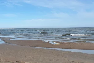 Крило безпілотника, яке, як вважається, належить Україні, знайдено 12 квітня 2026 року на пляжі Калві в повіті Леене-Віру