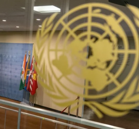 рада безпеки оон