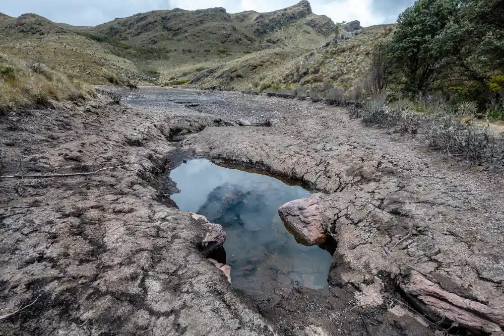 Лагуни в природному парку «Пан-де-Асукар» у Парамо-ель-Консуело в Белені, департамент Бояка, Колумбія, під час тривалої посухи, пов'язаної з явищем Ель-Ніньо.