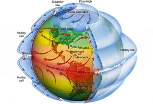 вплив на планету різних ураганів