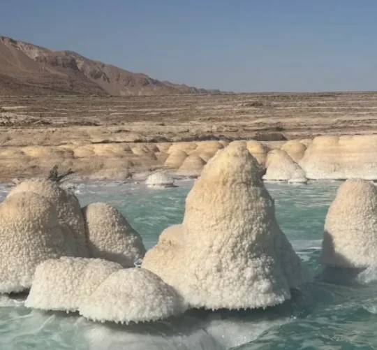 мертве море