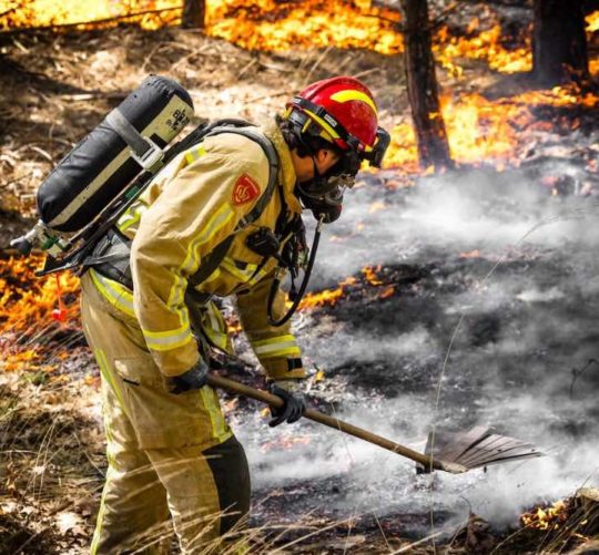 Пожежник гасить лісову пожежу