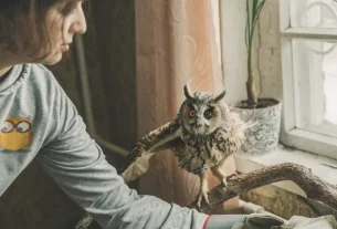 Вероніка Конкова з Санні у своєму будинку в Дніпро. Довговуха сова втратила око і крило під час вибуху російського дрона