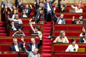 Національні збори країни у Франції