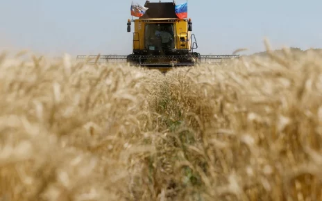 Комбайн на окупованій Росією частині Луганської області України минулого року